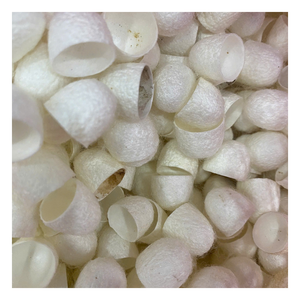 Capullo de gusano de seda 100% de alta calidad para la producción de seda: fuente natural de seda para textiles, cuidado de la piel, capullo de seda natural Coton - Product Image 1