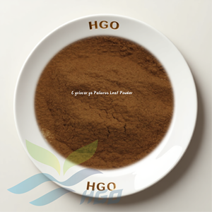 HGO Fournisseur direct d'usine de poudre de feuilles de Cyclocarya Paliurus pure et naturelle, qualité alimentaire, spécification 10:1, extrait - Product Image 1