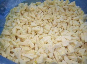 Vente en gros d'ananas congelés en vrac du Vietnam, morceaux IQF, anneaux, tranches, fruits de qualité supérieure à l'exportation pour les importateurs - Product Image 6