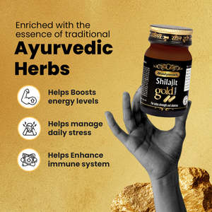 Capsules d'or Baidyanath Shilajit, paquet de 10, formule ayurvédique pour la vitalité, l'endurance, les performances et la santé quotidienne - Product Image 2