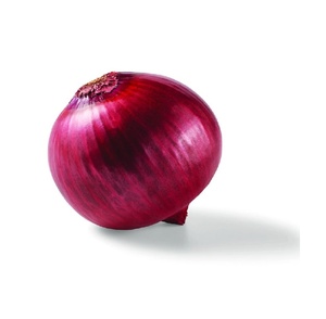 Achetez des oignons rouges frais de haute qualité en gros, parfaits pour la vente en gros, la vente au détail et la cuisine - Product Image 4