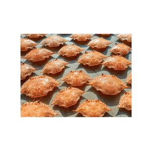 Conchas de cangrejo secas de alta calidad para artesanías, acuarios, diseño de interiores - Product Image 4