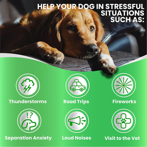 <strong>Dog</strong> Calming Chews Calming Chews for <strong>Dogs</strong> <strong>Dog</strong> Calming Chews for <strong>Dogs</strong> Calming for <strong>Dogs</strong> <strong>Dog</strong> Anxiety Relief - Product Image 4