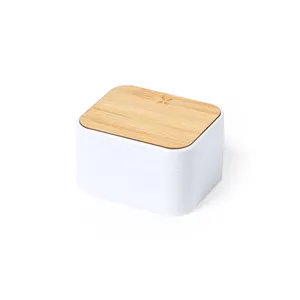 Auricolari USB Promozionali Personalizzati con Caricatore Billins Gadgets - Product Image 1