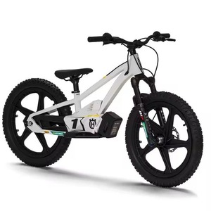 BEST NEW Quality <b>Powerful</b> Electric Balance Motorcycle Bike EE 1.20 - Product Image 1