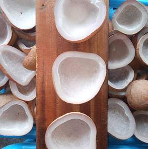 Premium AGP Copra KP1 Indonesian Edible White Copra Grade a High Oil Content Dried <b>Coconut</b> <b>Cup</b> Wholesale - Product Image 5
