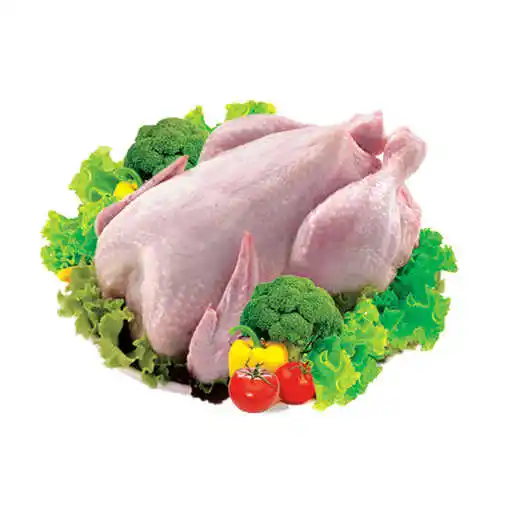 बिक्री के लिए उच्च गुणवत्ता वाले हलाल फ्रोजन होल चिकन/फ्रोजन चिकन ब्रेस्ट और फ्रोजन चिकन पंख