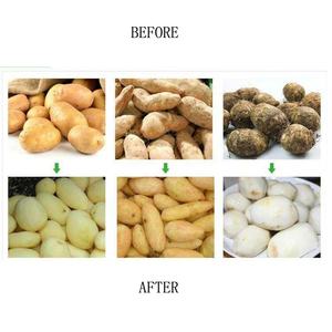 آلة تقشير البطاطس الكهربائية التجارية من جويياو، 220 فولت، سعة 15 كجم، كفاءة عالية، محرك نحاسي خالص، وزن 48 كجم، ضمان لمدة 1.5 سنة - Product Image 3