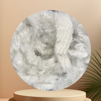 Fibre de polyester creuse conjuguée recyclée 10D 64mm non siliconée ignifuge PSF pour le rembourrage de textiles de maison et de vêtements