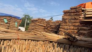 Les balais en bois sont fabriqués au Vietnam en grande quantité - Product Image 2