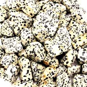 Venta al por mayor de piedras preciosas de jaspe dálmata natural de tamaño libre para el uso de la joyería y collar anillo pendiente colgante - Product Image 2