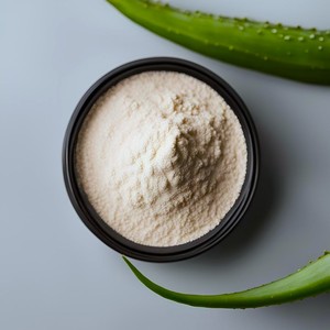 ผงสกัดจากว่านหางจระเข้ผู้ผลิตที่เชื่อถือได้จากเวียดนาม - Product Image 6