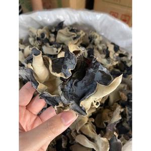 Vente en gros de champignons d'oreille de chat séchés, champignons noirs pour la cuisine asiatique - Product Image 3