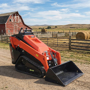 Promotion : Chargeuse compacte sur chenilles multifonctionnelle puissante à moteur diesel pour travaux agricoles et aménagement paysager, avec accessoires - Product Image 2