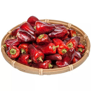 Chiles Rojos Secos sin Tallo, Semillas de Chile de Primera Calidad al por Mayor a Precio Económico - Product Image 4