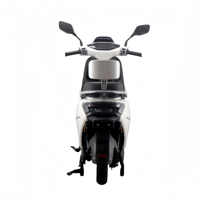 Low Power Hub Motor 1500W Electric Motorcycle for Adults 45km/h Top Speed and 80km Long Rnge