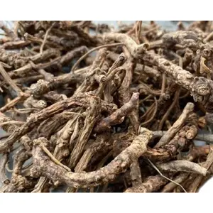 Top Quality Rhizoma Picrorhiza Extract 10:1 Picrorhiza Kurroa Extract Powder