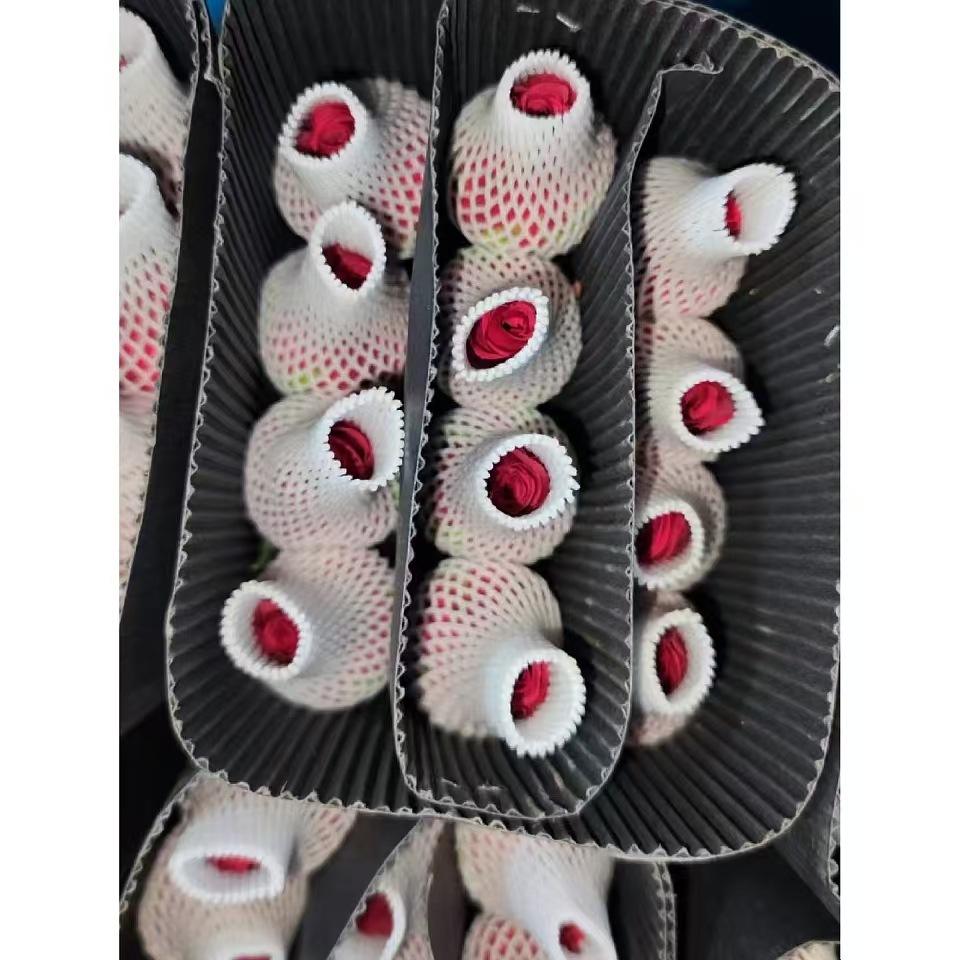 เสรีภาพ