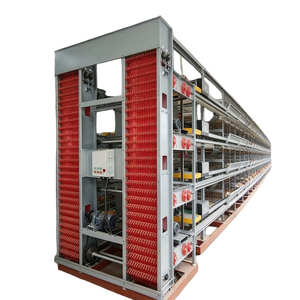Sistema di Gabbie Automatiche Impilabili per Galline Ovaiole e Gabbie Integrate a Catena (Alimentazione e Raccolta Uova) - Product Image 5