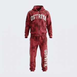 <b>Top</b> Manufacturer High Quality Hot Selling Full Sleeves Hooded <b>Zipper</b> Front Letter Casual Wear Quick Dry Men's Fashion Tracksuit - Product Image 6