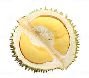 Durian Maduro Congelado de Vietnam VDELTA |   Fruta Madura Seleccionada |   Venta al por Mayor - Product Image 6