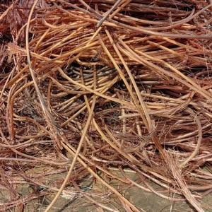 เศษลวดทองแดงบริสุทธิ์99.99% (ความบริสุทธิ์99.95%-99.99%) ใช้ในอุตสาหกรรมลวดเปลือยจำนวนมาก - Product Image 3