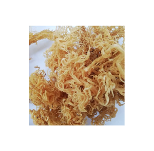 Algues Eucheuma Cottonii séchées de qualité supérieure Algues Cottonii à haute valeur nutritionnelle - Product Image 1