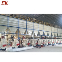 Machine à granulés de paille de riz et de bois DINGLI avec moteur de 23 kW - Fabricant d'usines de granulés d'énergie verte clés en main EPC
