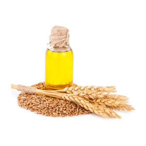 OEM fábrica de etiquetas privadas al por mayor prensado en frío aceite portador de germen de trigo de grado alimenticio cosmético aceite de germen de trigo puro - Product Image 1