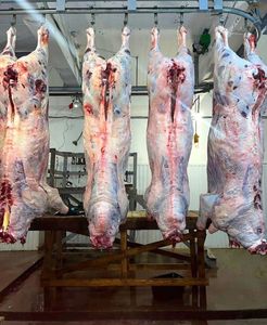 Grasa de Cola de Cordero Congelada IQF Sin Grasas Trans, Carne de Cordero y Cordero de Montaña Envasada al Vacío en Bolsas de 10 kg a Precio Mayorista y Personalizable - Product Image 4