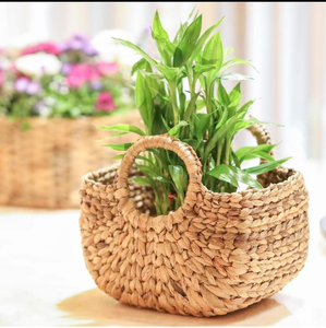 Bateau en forme de jacinthe d'eau panier stockage osier jonc de mer paille produits d'artisanat usage domestique de l'Inde en gros - Product Image 3