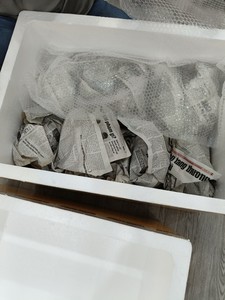 เปลือกหอยที่มีคุณภาพสูงในราคาที่แข่งขันได้สินค้าที่ดีสำหรับการตกแต่งจาก99ข้อมูลทอง - Product Image 2