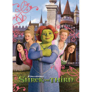 Carte de vœux style floral Shrek 3, impression offset, carte cadeau pour toutes occasions - Product Image 1