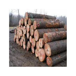 Bûches rondes en bois pour meubles à vendre Bois dur Bois de chauffage Bois de bouleau Chêne et hêtre Bois de chauffage/<span class=keywords><strong>Mangrove</strong></span>