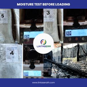 Charbon de bois de noix de coco pour la fabrication de charbon actif dans l'industrie Uesd Thaïlande Charbon de noix de coco de haute qualité en gros - Product Image 3