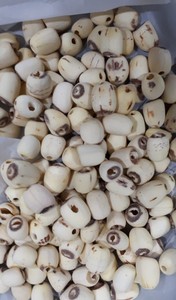 Graines de lotus lyophilisées bio de qualité supérieure, sans OGM, séchées à l'air, pour la vente en gros, approvisionnement en vrac pour la cuisine, les collations, bienfaits pour la santé - Product Image 5