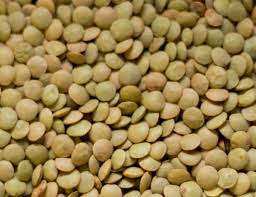 Full Circle Organic Green <b>Lentils</b> For Sale - Product Image 5