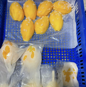 กลุ่มผลิตภัณฑ์เครื่องดื่มมะม่วงแช่แข็งที่บรรจุเพื่อส่งออกไปยังผู้จัดจำหน่ายอาหาร - Product Image 2