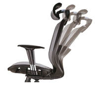 Chaise de bureau exécutive ergonomique moderne en maille avec accoudoirs réglables en hauteur, base pivotante et fonction d'inclinaison pour chambre et salon