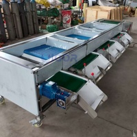 Blauwe bes sorteermachine, gewichts- en sorteermachine voor industriële blauwe bessen, groente sorteermachine op basis van formaat