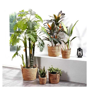 Cestas de almacenamiento de mimbre tejidas a mano para el hogar, organizador de mimbre, cesta de ratán, maceta hecha en Vietnam con servicios OEM ODM - Product Image 1