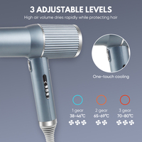 Sèche-cheveux ionique professionnel 1300W avec diffuseur de refroidissement à une touche à température constante-Soin des cheveux à ions négatifs