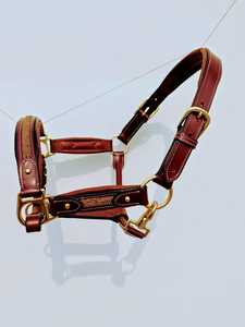 SOFTY Rembourré Anglais Selle Cheval Cuir Halter Réglable Tête Collier - Product Image 4