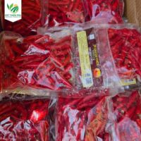 Vente en gros PHU-2024 de légumes surgelés piment frais IQF piment rouge congelé/piment congelé du Viet Nam