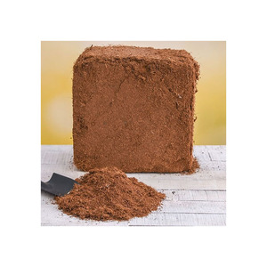 Compradores globales en los sectores agrícola y de paisajismo favorecieron la entrega rápida de polvo de turba de coco - Product Image 2
