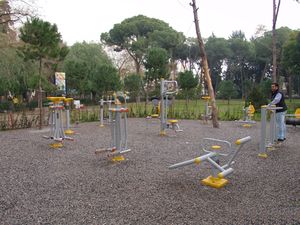 Equipo de fitness al aire libre Rotador Twister de pie para ejercicio central y rotación corporal en parques, zonas públicas de entrenamiento y gimnasios - Product Image 6