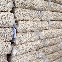 Vietnam Trusted Supplier W240 Bio-Cashewnüsse Großhandel Cashewnüsse Santi go Vietnam Exportiert nach Asien, EU, Naher Osten