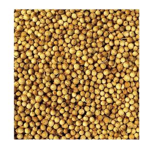 Graines de coriandre à vendre - Product Image 2