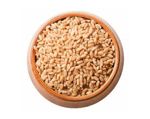 Proveedor Mayorista de Grano de Trigo Integral Orgánico a Precio Económico, Venta al por Mayor de Grano de Trigo Integral Orgánico a Precio Económico - Product Image 6