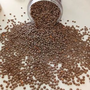 Lentejas Rojas orgánicas de alta calidad (Chana Dal) Bolsas a granel Opción de cocina deliciosa y saludable natural Precio bajo - Product Image 2